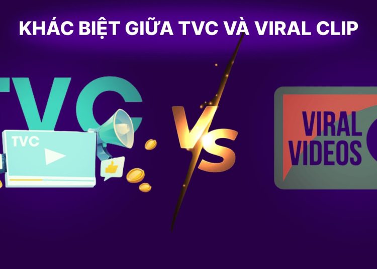 clip-tvc